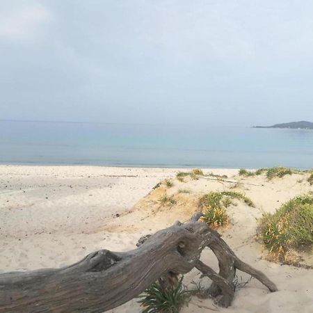 アルゲーロ Casa Al Mare Con Giardinoヴィラ エクステリア 写真