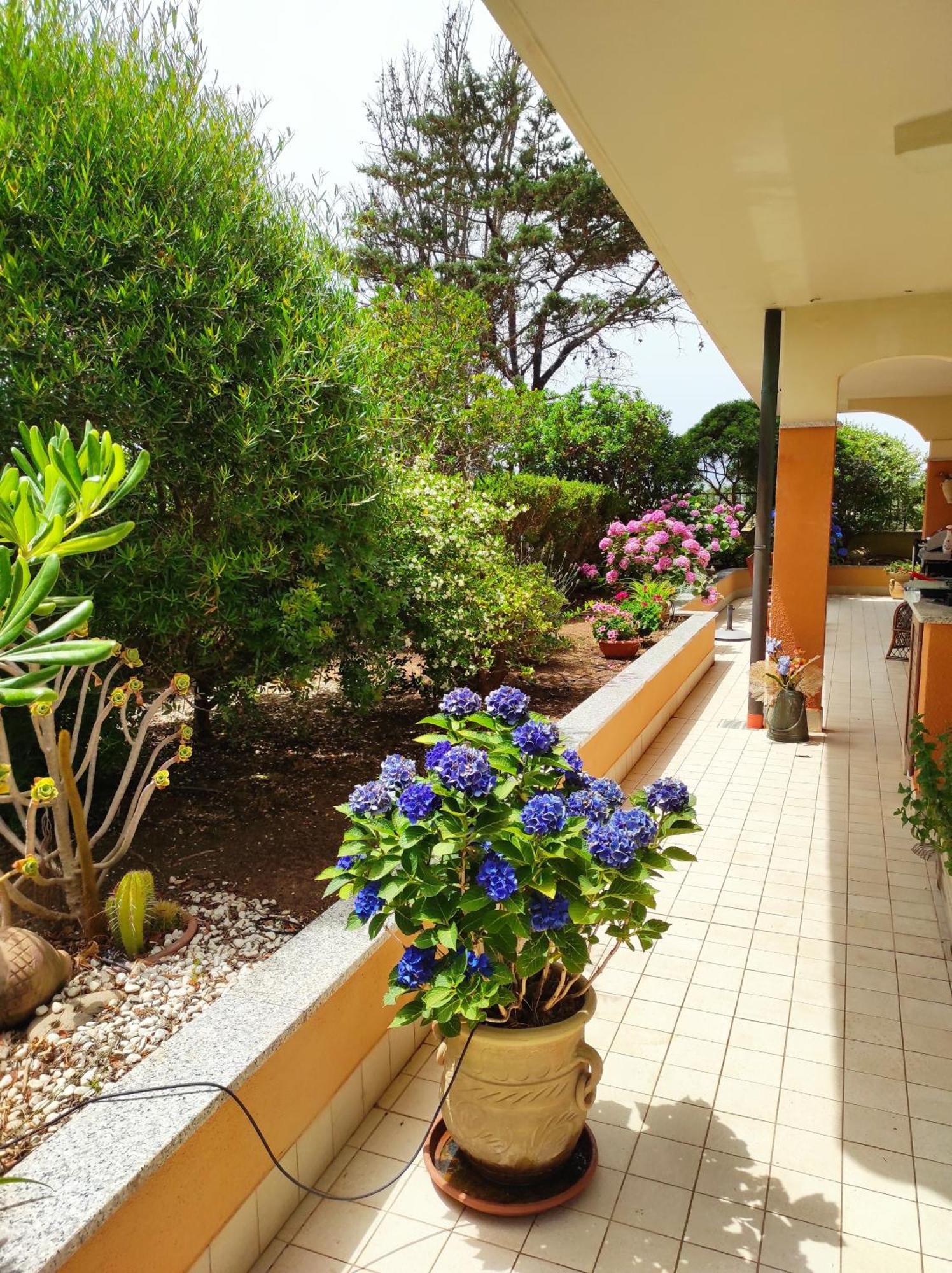 アルゲーロ Casa Al Mare Con Giardinoヴィラ エクステリア 写真