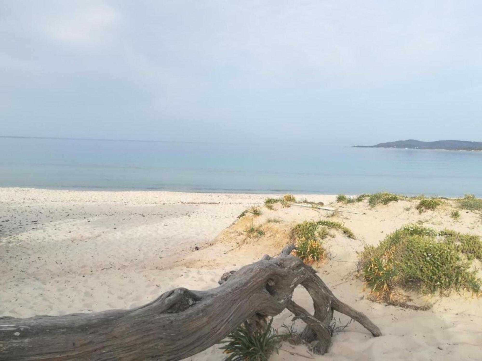 アルゲーロ Casa Al Mare Con Giardinoヴィラ エクステリア 写真