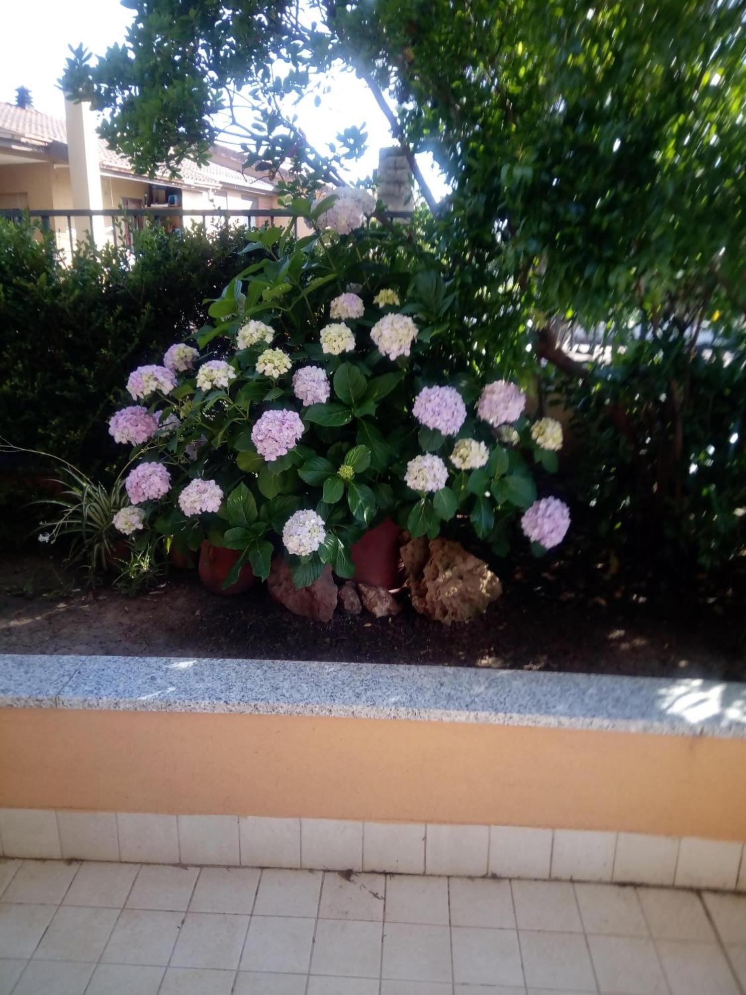 アルゲーロ Casa Al Mare Con Giardinoヴィラ エクステリア 写真